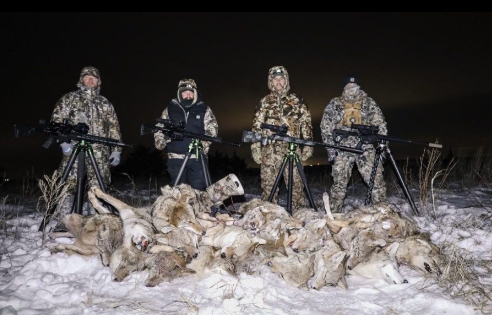 A group of four male hunters proudly display their hunted coyotes during a night hunt, showcasing the success of their expedition
