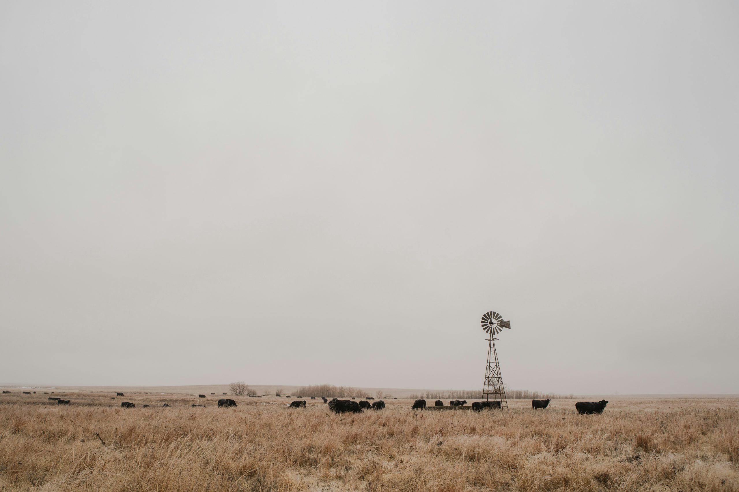 josh-redd-fZHzfZLucCg-unsplash