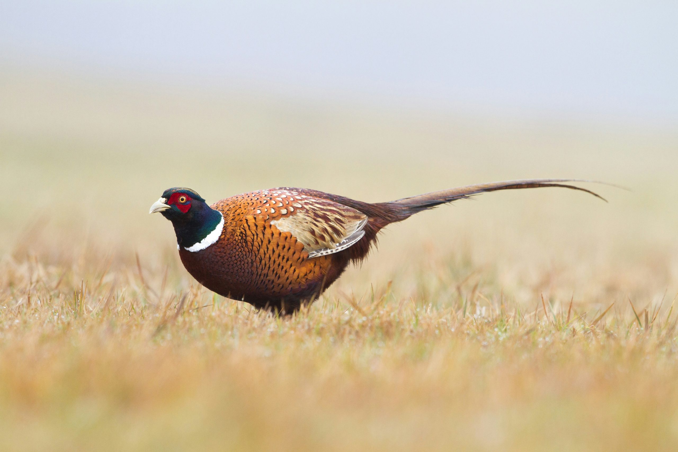 june-gathercole-ke_CJE48e2Q-unsplash