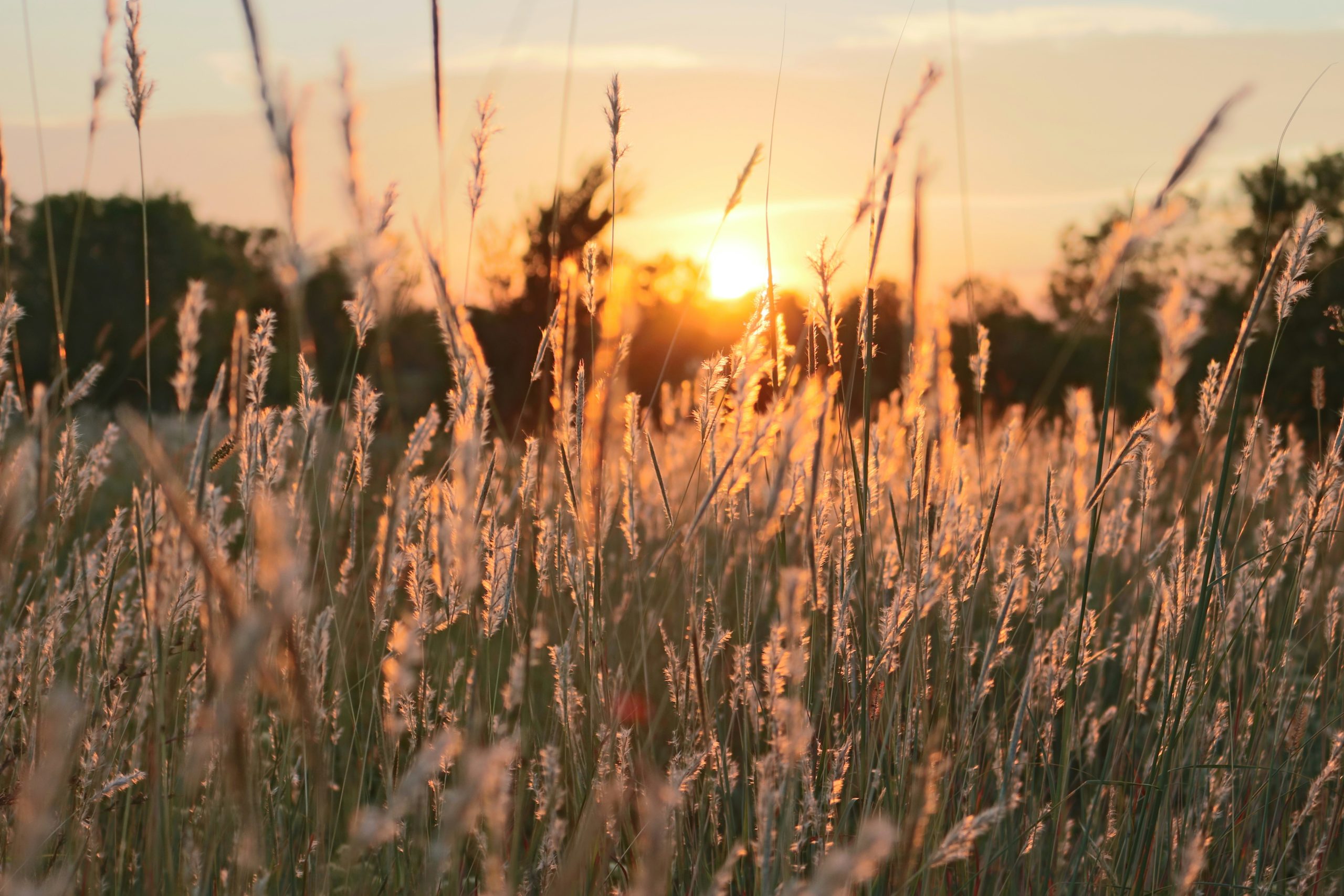 samuel-myles-roLQ_k2HEcs-unsplash